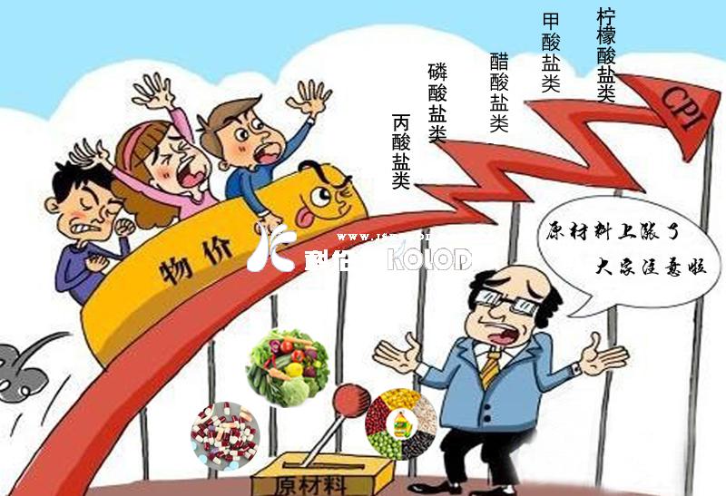 國內原材料價格上漲，食品添加劑行業呈現趨勢如何？